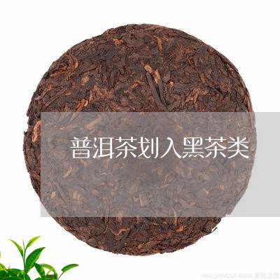 普洱茶划入黑茶类/2023031654928