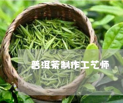 普洱茶制作工艺师/2023033040416