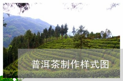 普洱茶制作样式图/2023041290472