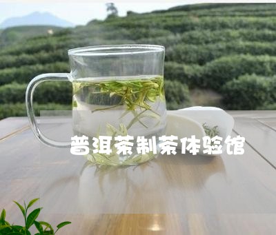 普洱茶制茶体验馆/2023031680694