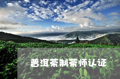 普洱茶制茶师认证/2023031627250