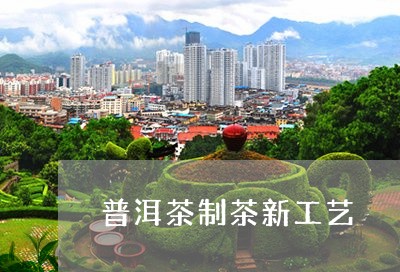 普洱茶制茶新工艺/2023041300515