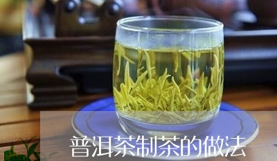 普洱茶制茶的做法/2023041142815