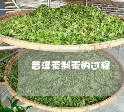 普洱茶制茶的过程/2023041189605