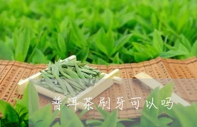 普洱茶刷牙可以吗/2023040169684