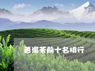 普洱茶前十名排行/2023041422703