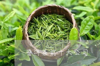 普洱茶前十大公司/2023033002695