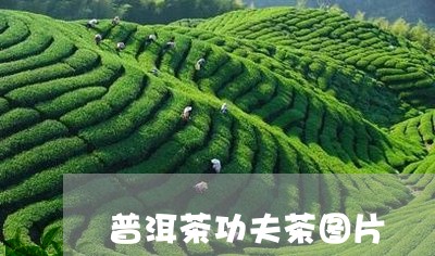 普洱茶功夫茶图片/2023041188272