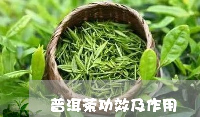 普洱茶功效及作用/2023031895049