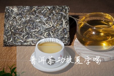 普洱茶功效夏季喝/2023031892715