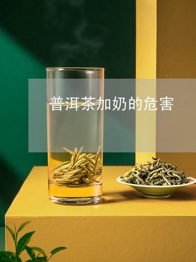 普洱茶加奶的危害/2023031811782