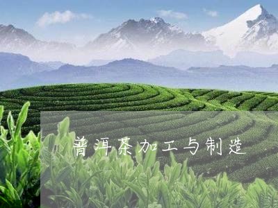 普洱茶加工与制造/2023041054150