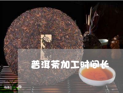 普洱茶加工时间长/2023041307371