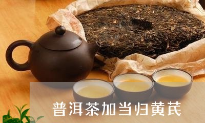 普洱茶加当归黄芪/2023031848282