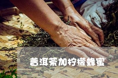 普洱茶加柠檬蜂蜜/2023041308472