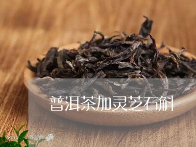 普洱茶加灵芝石斛/2023040926050