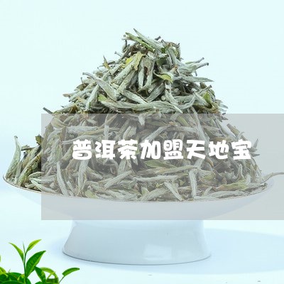 普洱茶加盟天地宝/2023032912927