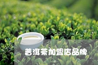 普洱茶加盟店品牌/2023033078469