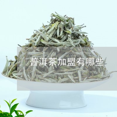 普洱茶加盟有哪些/2023033079605