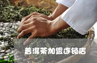 普洱茶加盟连锁店/2023033021627