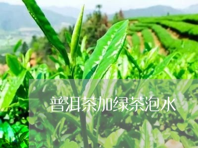 普洱茶加绿茶泡水/2023031630605