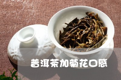 普洱茶加菊花口感/2023041078351