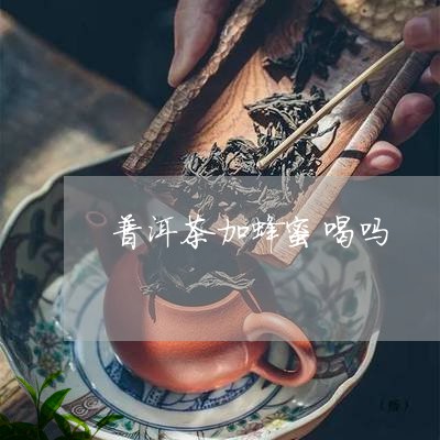 普洱茶加蜂蜜喝吗/2023031616931