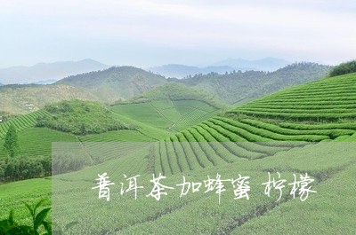 普洱茶加蜂蜜柠檬/2023031615160