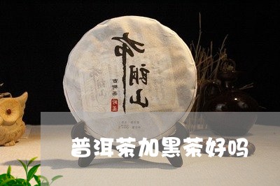 普洱茶加黑茶好吗/2023041142607