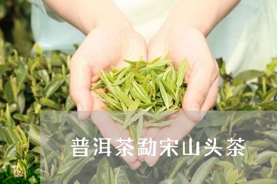 普洱茶勐宋山头茶/2023031647151