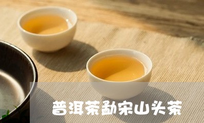 普洱茶勐宋山头茶/2023041156240