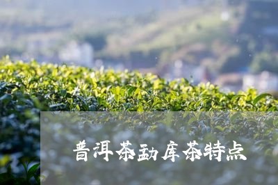 普洱茶勐库茶特点/2023041193936