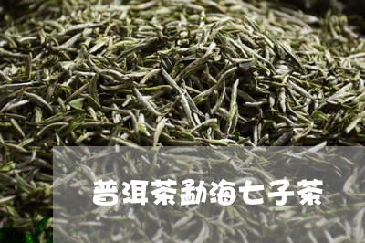 普洱茶勐海七子茶/2023031653728