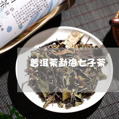 普洱茶勐海七子茶/2023041174950