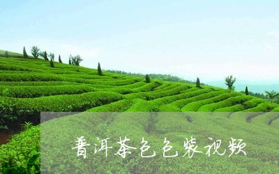 普洱茶包包装视频/2023040972894