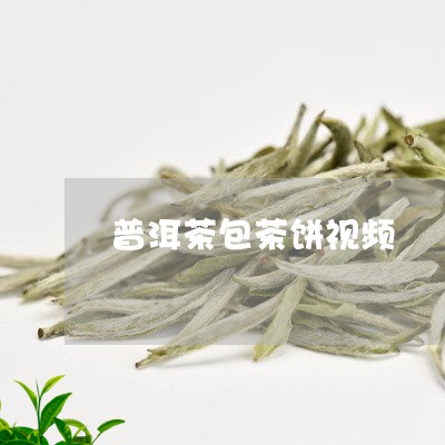 普洱茶包茶饼视频/2023041144059