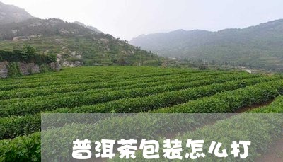 普洱茶包装怎么打/2023031662928