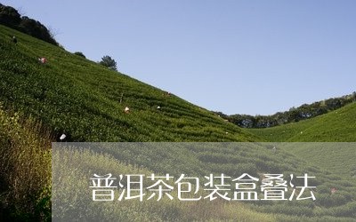 普洱茶包装盒叠法/2023033188613