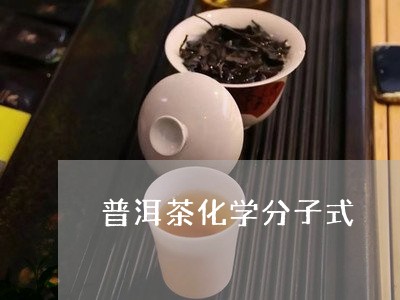 普洱茶化学分子式/2023033085148