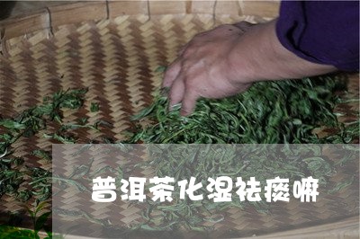 普洱茶化湿祛痰嘛/2023031858371