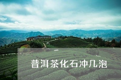 普洱茶化石冲几泡/2023031648493