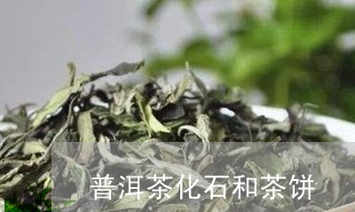 普洱茶化石和茶饼/2023031542828