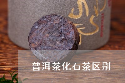 普洱茶化石茶区别/2023031726402