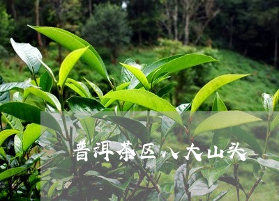 普洱茶区八大山头/2023041273714