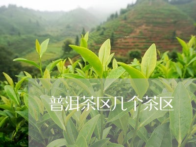 普洱茶区几个茶区/2023041174035