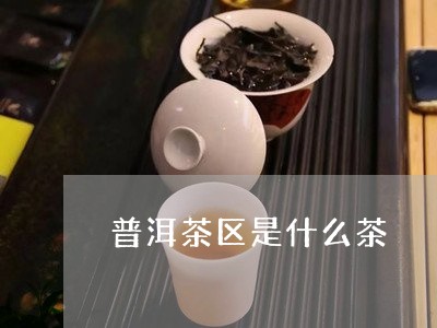 普洱茶区是什么茶/2023041136248