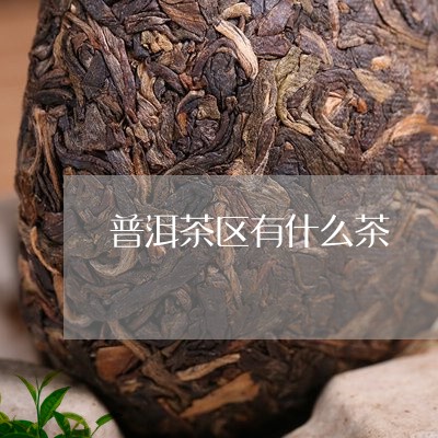 普洱茶区有什么茶/2023031750793