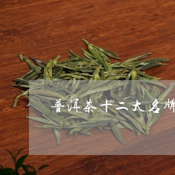 普洱茶十二大名牌/2023033149304