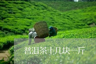 普洱茶十几块一斤/2023031789483