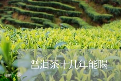 普洱茶十几年能喝/2023033027160